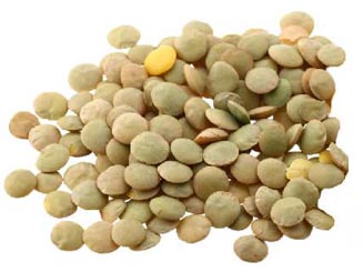 فروش عدس