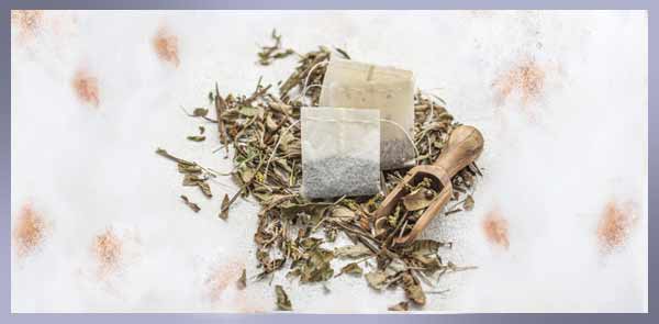 گیاهان دارویی