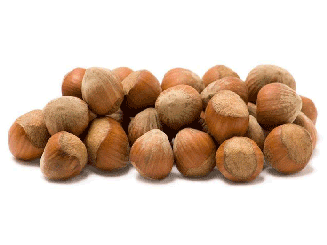 فروش فندق
