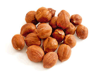 فروش عمده فندق
