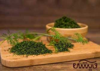 فروش شوید خشک