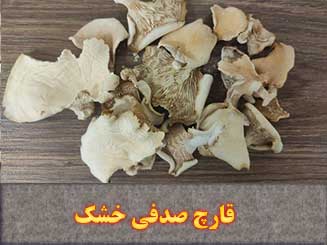 فروش عمده قارچ خشک