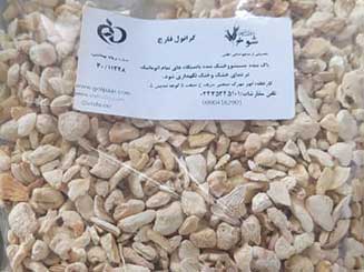 فروش عمده قارچ خشک