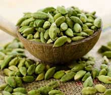فروش هل