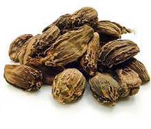 فروش هل سیاه