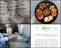 گالری تصاویر ویشکو