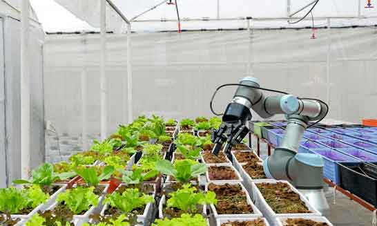 استفاده از ربات ها در کشاورزی 